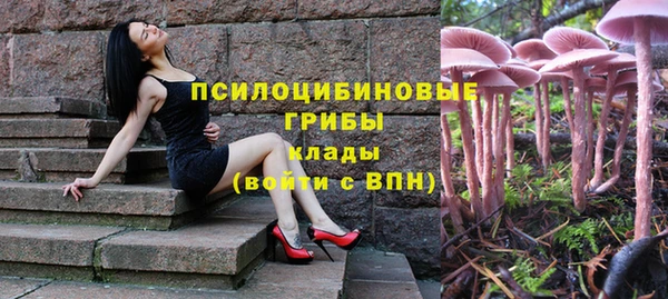 герыч Бежецк