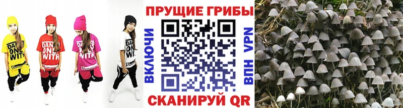 Галлюциногенные грибы ЛСД  Холм 